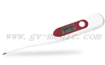 General Digital Thermometer DT-01E.jpg