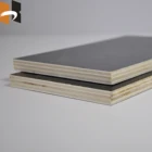 china poplar core black brown film faced plywood shipped by bulk cargo