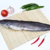 Frozen Pangasius Fish / Catfish with Premium Quality