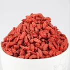 Dried Dried Trusted Factory Supplier Organic Goji Berries Dried Goji Berry Price