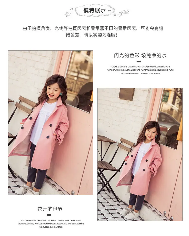 4373353545_947543275