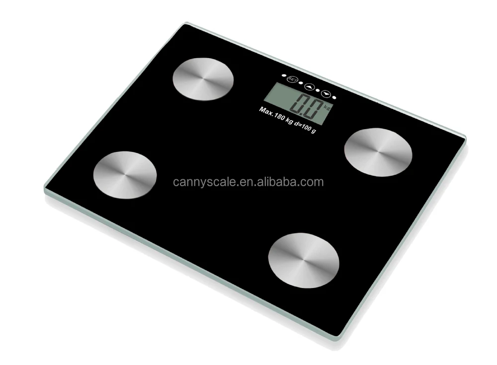 body fat scale .jpg