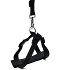 Speedypet Safety black Pet Seat Belt, Dog Belt Harness