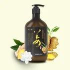 fruit ginger anti hair loss herbal natural hair growth shampoo OEM