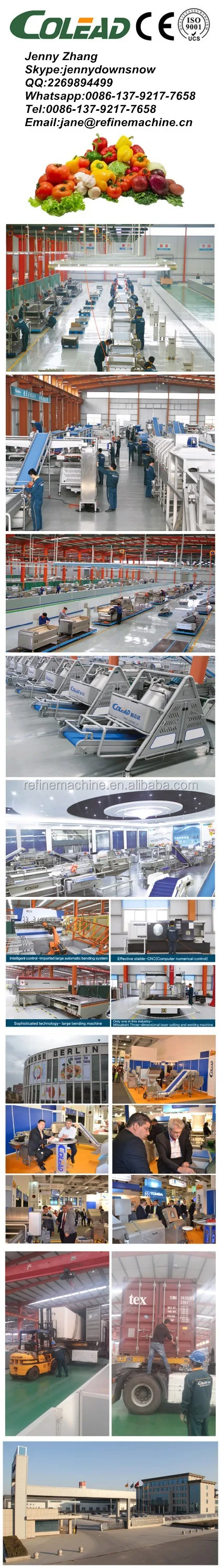 vegetable processing line.jpg