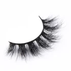 brown Black False Eyelashes - 100% Natural Hair - Natural Volume Lashes - 5 Pairs