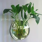Clear Wall Hanging Transparent Flowerpot Plastic Planter Mini Aquarium