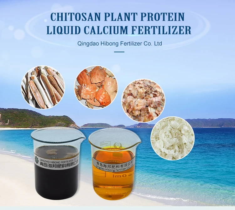 Agricultural Use Water Soluble Chitosan Plant Protein Liquid Calcium Fertilizer Import Manure ORGANIC Fertilizer