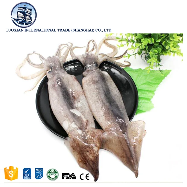 frozen seafood squid