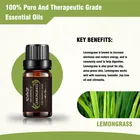 Spearmint Oil Mandarin Spearmint Lemongrass Eucalyptus Essential Oil With Individual Bottle Packaging