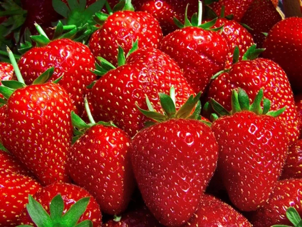 canned strawberry in light syrup or heavy syrup