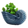 5" Cute Ocean Blue Seashell Series Flower Pot Ceramic Succulent Conch Cactus Bonsai Plant Pot