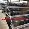 Poltry Equipment Automatic Layer Chicken Cage for 1000 Birds