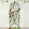 /product-detail/garden-trellis-with-stake-for-climbing-plants-46-x-15-rustproof-black-iron-potted-vines-vegetables-vining-flowers-patio-60760110740.html