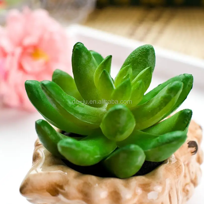 Animal Shape Flower Pot