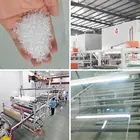 XINTAO Clear Acrylic Sun Board Raw Material Roof sheet 12 in 4ft x 8ft