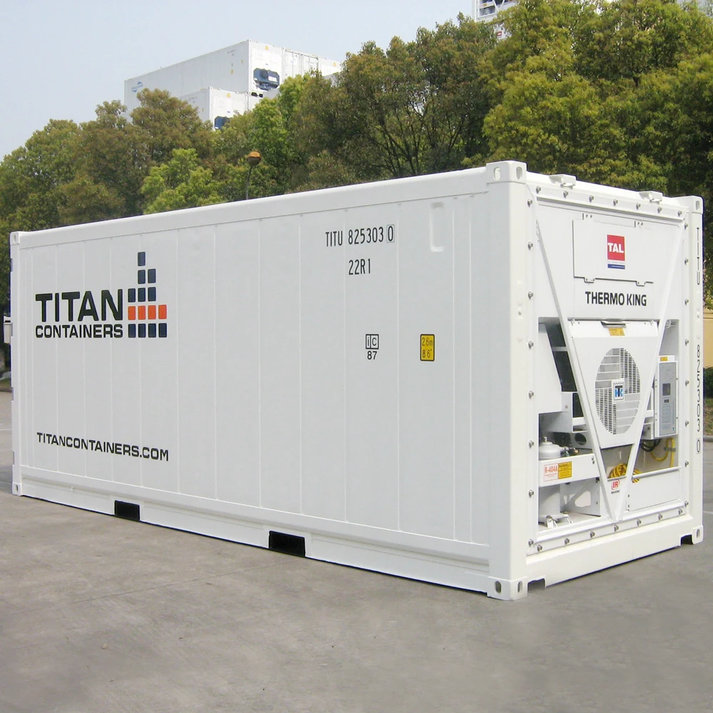 new designed 10" offshore reefer container