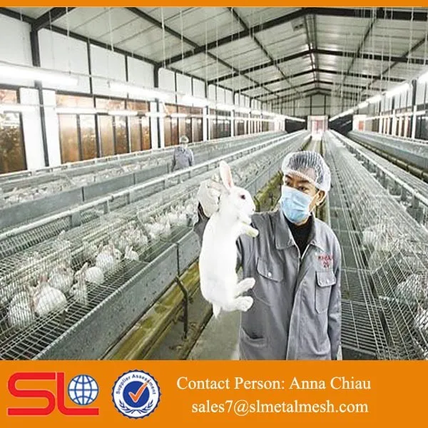 Rabbit Farming Equipment / Rabbit Farm For Sale / Cheap Rabbit Cages Buy Rabbit Farm For Sale