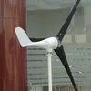 /product-detail/600w-12-24v-horizontal-axis-wind-turbine-wind-mill-wind-generator-3-blades-low-start-wind-speed-for-sale-60543286096.html