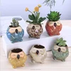 Succulent color owl ceramic mini indoor plants pots