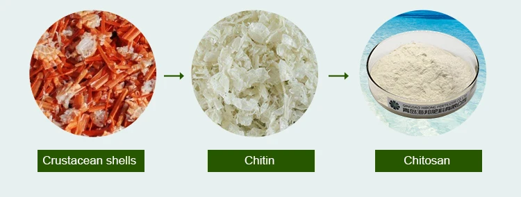 China ORGANIC Fertilizer Factory Manufacturer Agriculture Grade Chitosan Powder