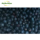 Bulk frozen fruit frozen berries blueberry by chinese supplier with best price