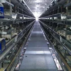 steel structure farm broiler poultry shed construction design chicken house