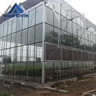 Factory Venlo Type Glass Agriculture Greenhouse with Automatic Control System