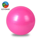 65cm Gym Balls Exercise Balls for Balance Training,Gym,Core Strength,Birthing,Stretching,Office Chair
