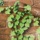 Natural scenery designs wallpaper home decoration 3d brick vinyl wallpaper