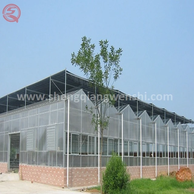 china polythene commercial pc sheet greenhouse used air conditioner polythene sheet for greenhouse