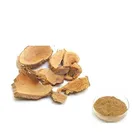 50% Hot sale products Polygonum cuspidatum extract /resveratrol powder/ resveratrol 50%