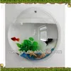 /product-detail/good-quality-best-price-wall-mounted-acrylic-fish-aquarium-acrylic-fish-aquarium-for-sale-1783507513.html