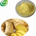 Pure Natural Good Water-soluble Ginger Extract powder