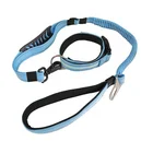 Top Seller Shenzhen Factory Strong Nylon Reflective Bungee Dog Car Seat Belt Pet Collar Leash