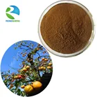 Factory Supply Pure Natural Persimmon Leaf Extract