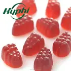 Concentration Grade Flavor Powder