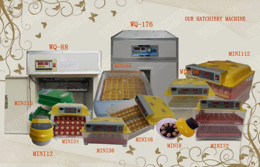 egg hatching machine.jpg