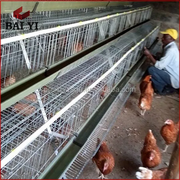تصميم الدجاج البيض قفص/البطارية قفص البياض/طبقة الدواجن المعدات الزراعية