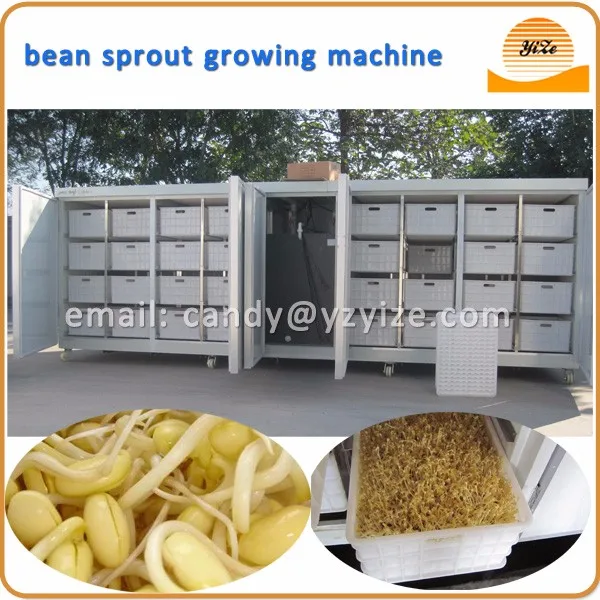 bean sprout making machine bean sprout sprouts machine bean