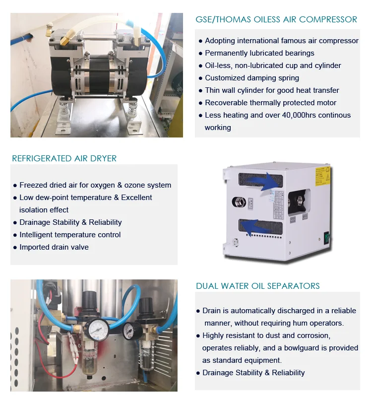 Ozone Generator for RAS