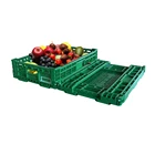 Plastic Egg Box Plastic Plastic Vegetable Box Plastic Collapsible Farm Folding Egg Box Vegetable Fruit Crate Boxes Wholesale
