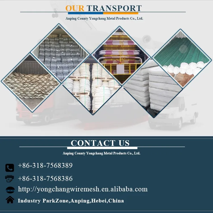 my test Welded wire mesh in rolls