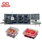 high resolution plate forming machine disposable food trays making machine