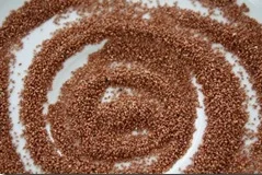 Teff Grain From South africa