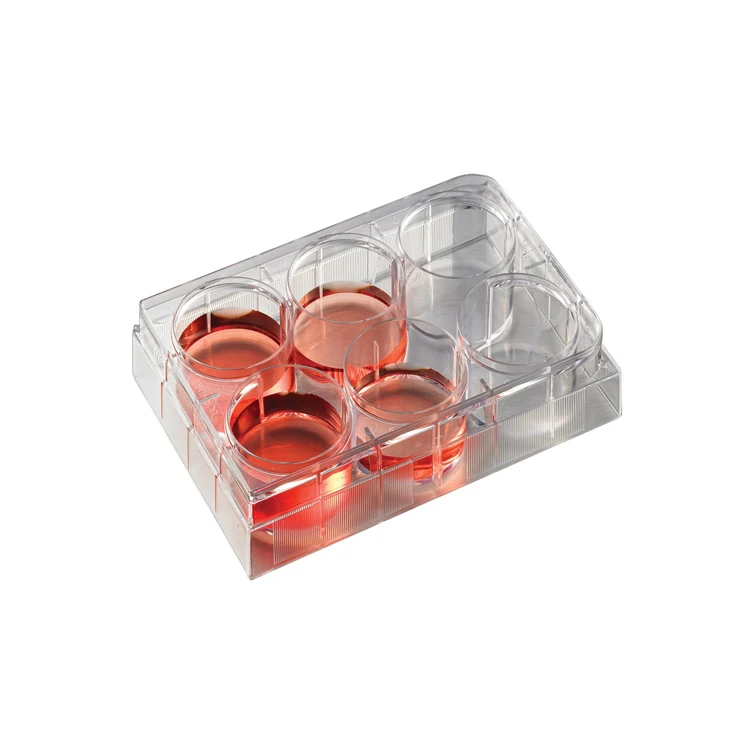 cell culture plate