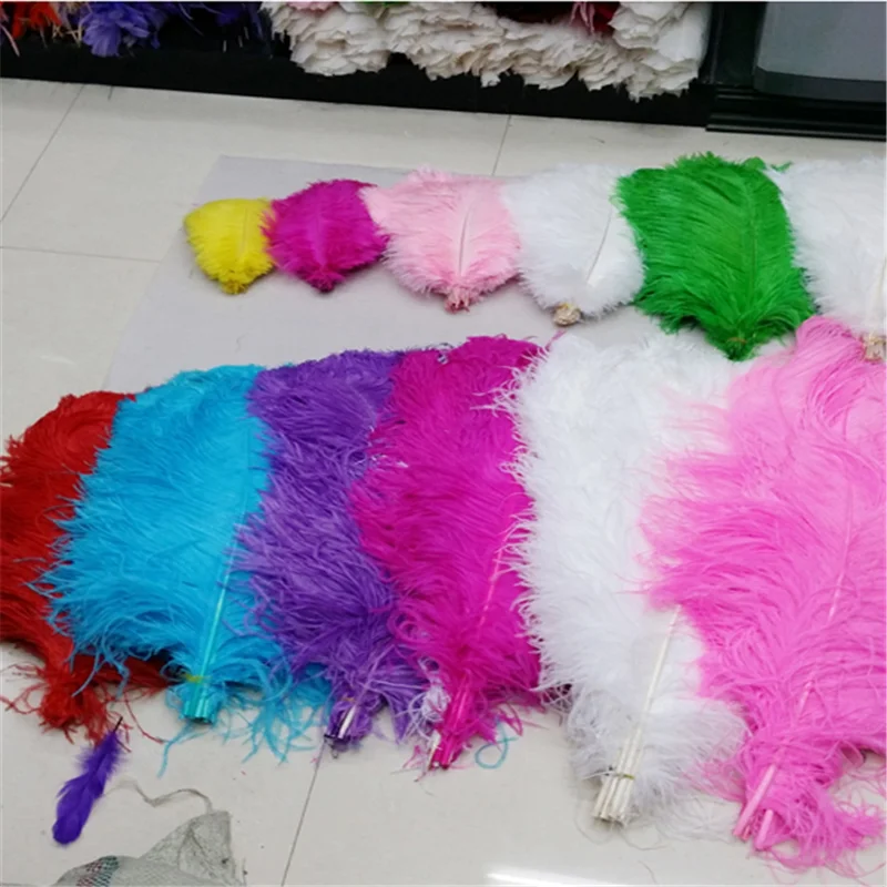 45-50 ostrich feather (1).png
