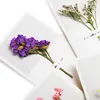 Eco-friendly Wholesale Elegant White Thank You Cards Pack with Envelopes