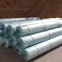 Tunnel Plastic Greenhouse Film Agriculture Hot