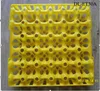 30 eggs red, green, yellow, white and blue plastic quail egg tray